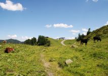 Sommer Österreich