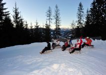 Rodelspaß auf der Hochnössler Alm